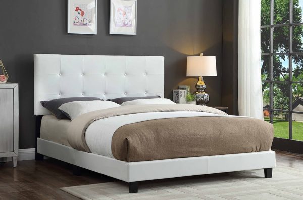 titus-2113w-1-flash-decor