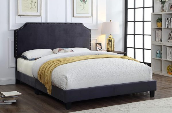 titus-2116b-1-flash-decor