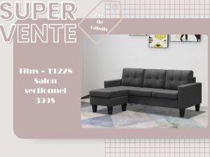 Titus 1228 secionnel