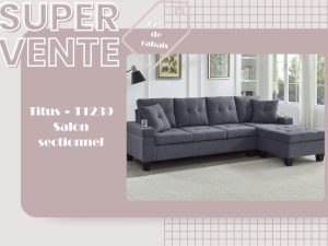 Vente - Sectionnel Titus T1239