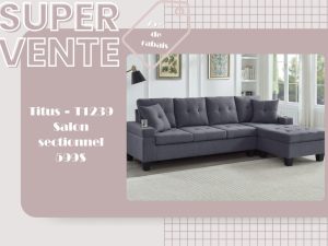 Titus 1239 secionnel